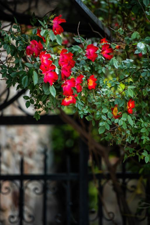 Vila Mulberry House Sithonia Exteriér fotografie